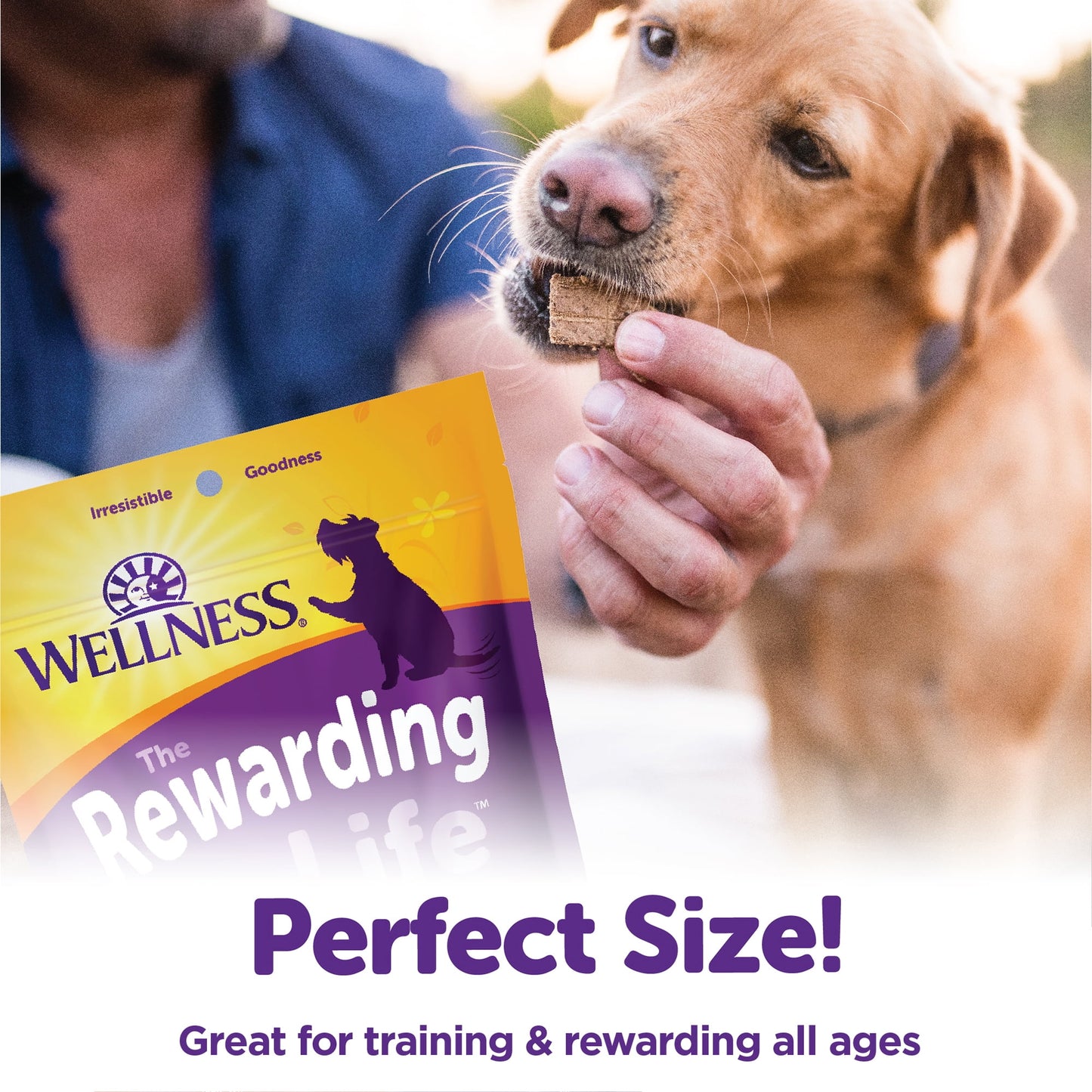 Wellness Rewarding Life Dog Treats, Natural, Training Treat, Grain Free, Soft Beef & Turkey (6 Ounce Bag)