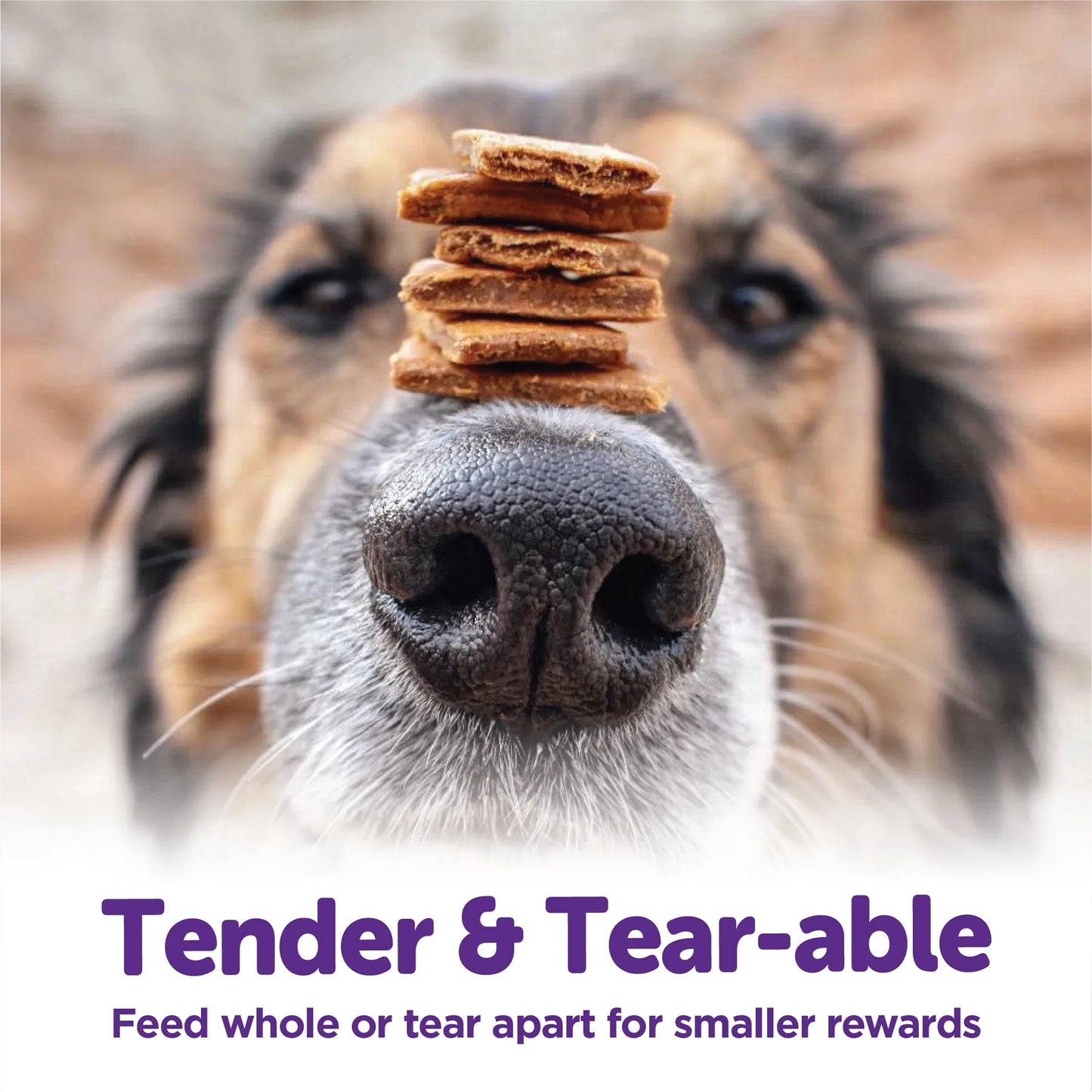 Wellness Rewarding Life Dog Treats, Natural, Training Treat, Grain Free, Soft Beef & Turkey (6 Ounce Bag)