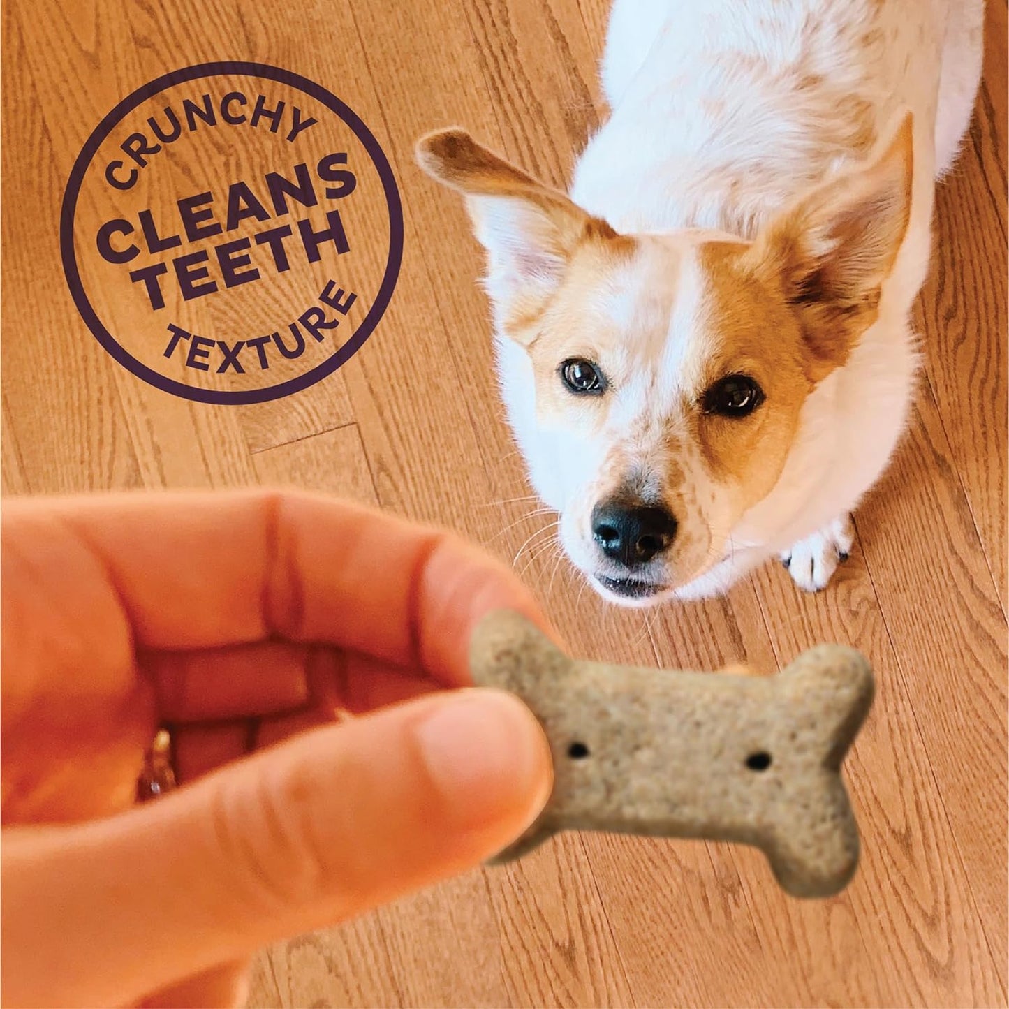 Wellness Original Mix Dog Biscuits, Natural, Training Treats, Four Flavors, Large Size, (20 Pound Box)