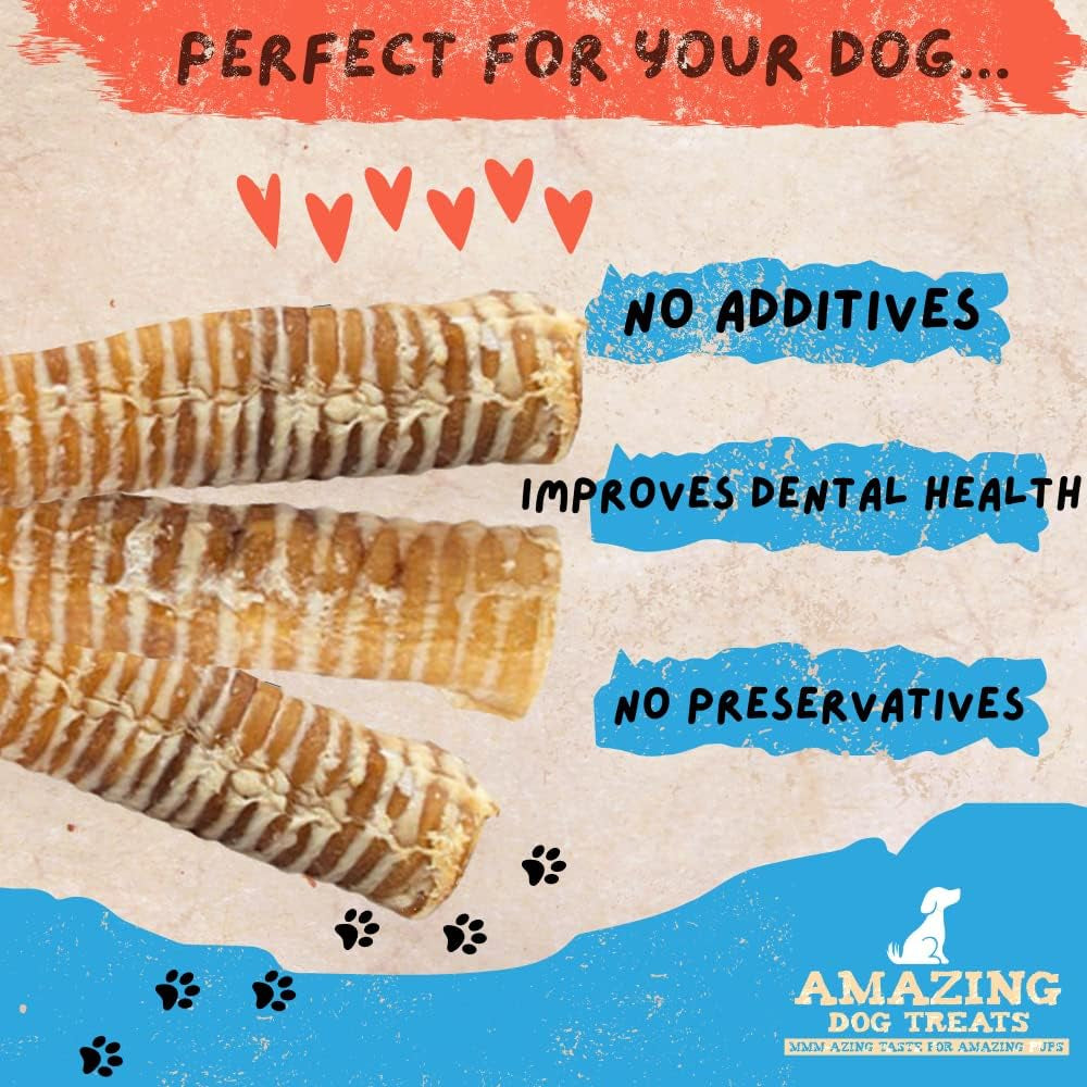 - 12 Inch Beef Trachea Chews for Dogs (10 Pcs/Pk) - 100% Natural Trachea Dog Treats - Excellent Source of Glucosamine - Natural Long Lasting Treats