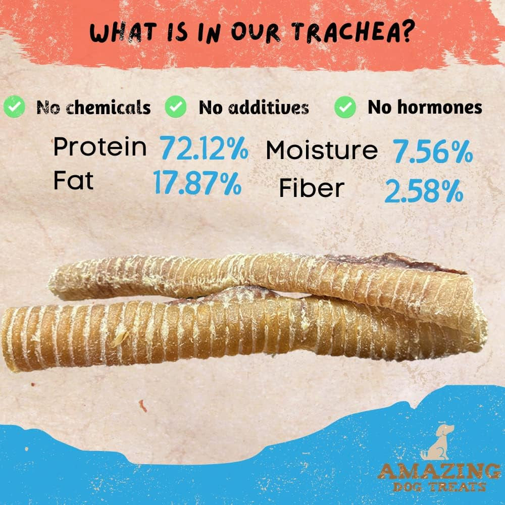 - 12 Inch Beef Trachea Chews for Dogs (10 Pcs/Pk) - 100% Natural Trachea Dog Treats - Excellent Source of Glucosamine - Natural Long Lasting Treats